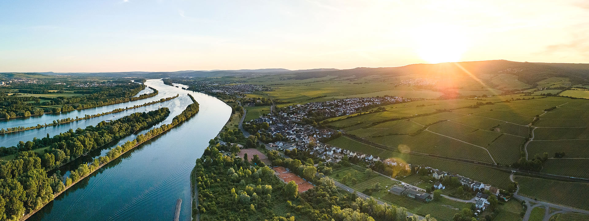 Blick über Hattenheim am Rhein