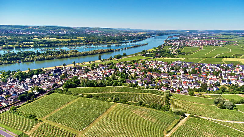 Hattenheim im Rheingau