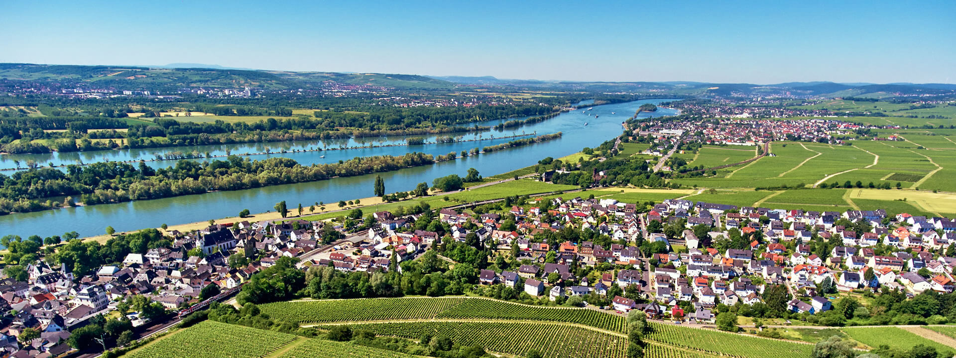 Hattenheim im Rheingau